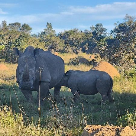 Parkview Safari Lodge Colchester Luaran gambar