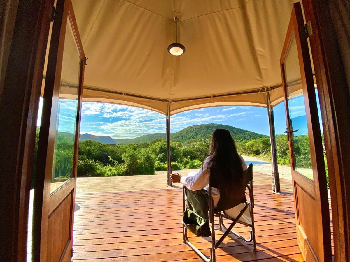 Parkview Safari Lodge Colchester Luaran gambar
