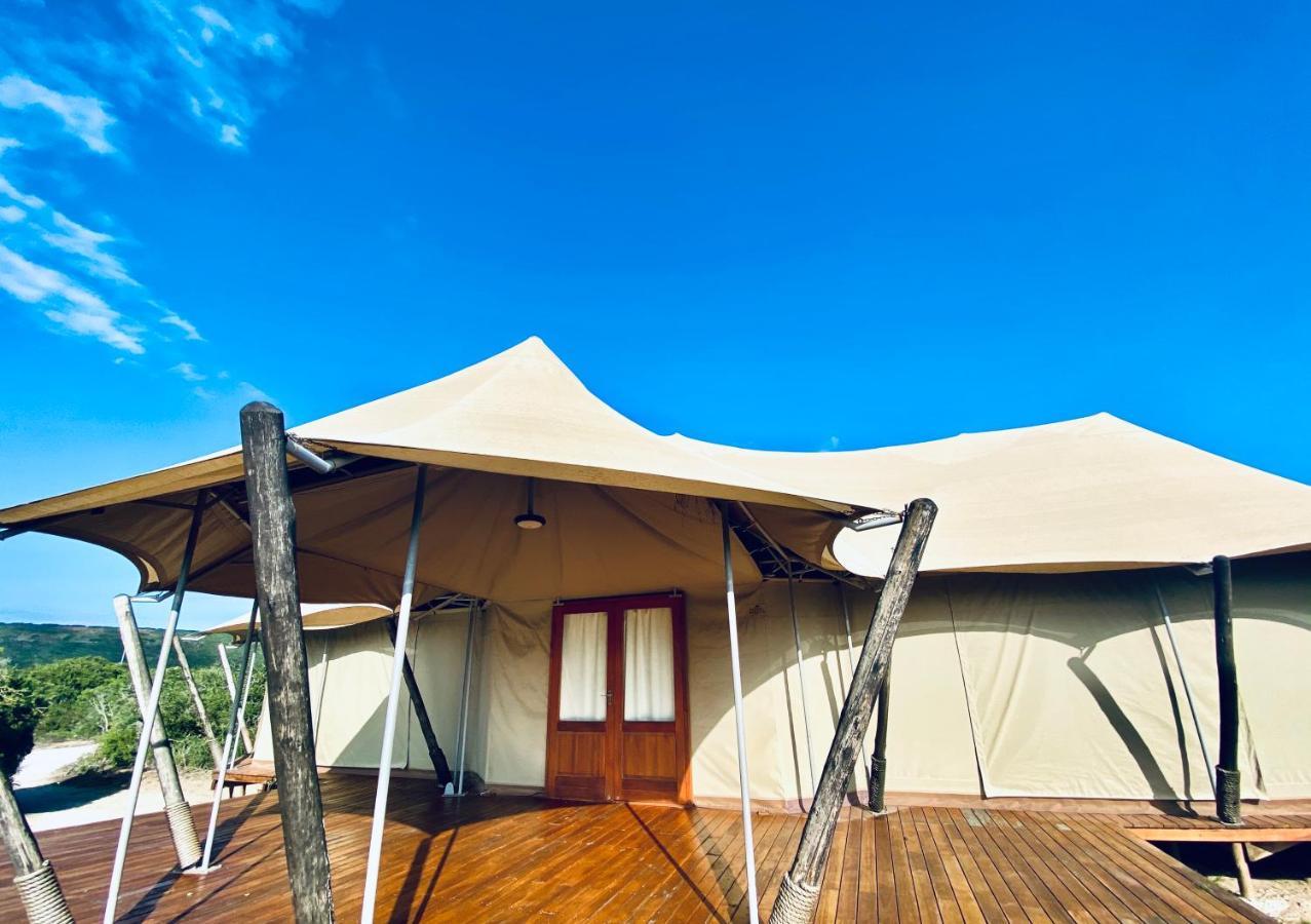 Parkview Safari Lodge Colchester Luaran gambar