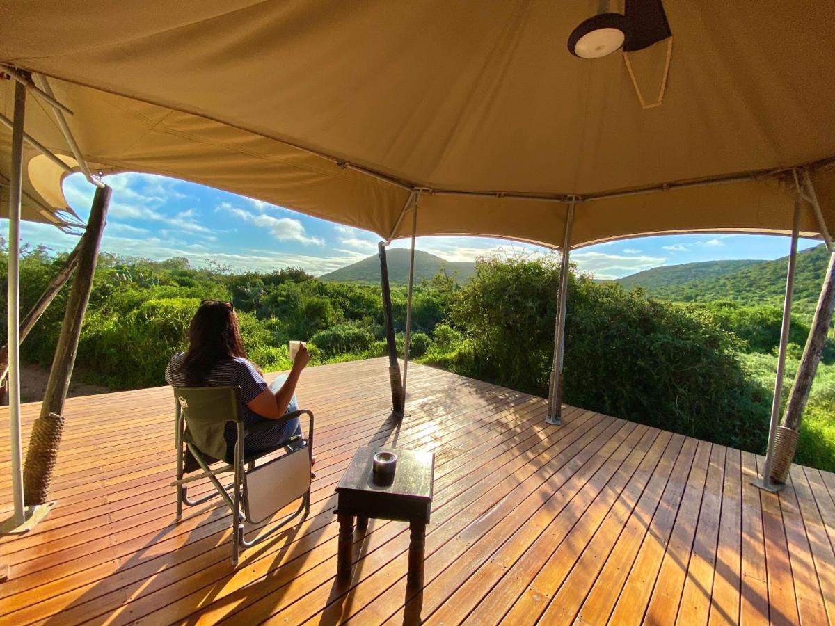 Parkview Safari Lodge Colchester Luaran gambar