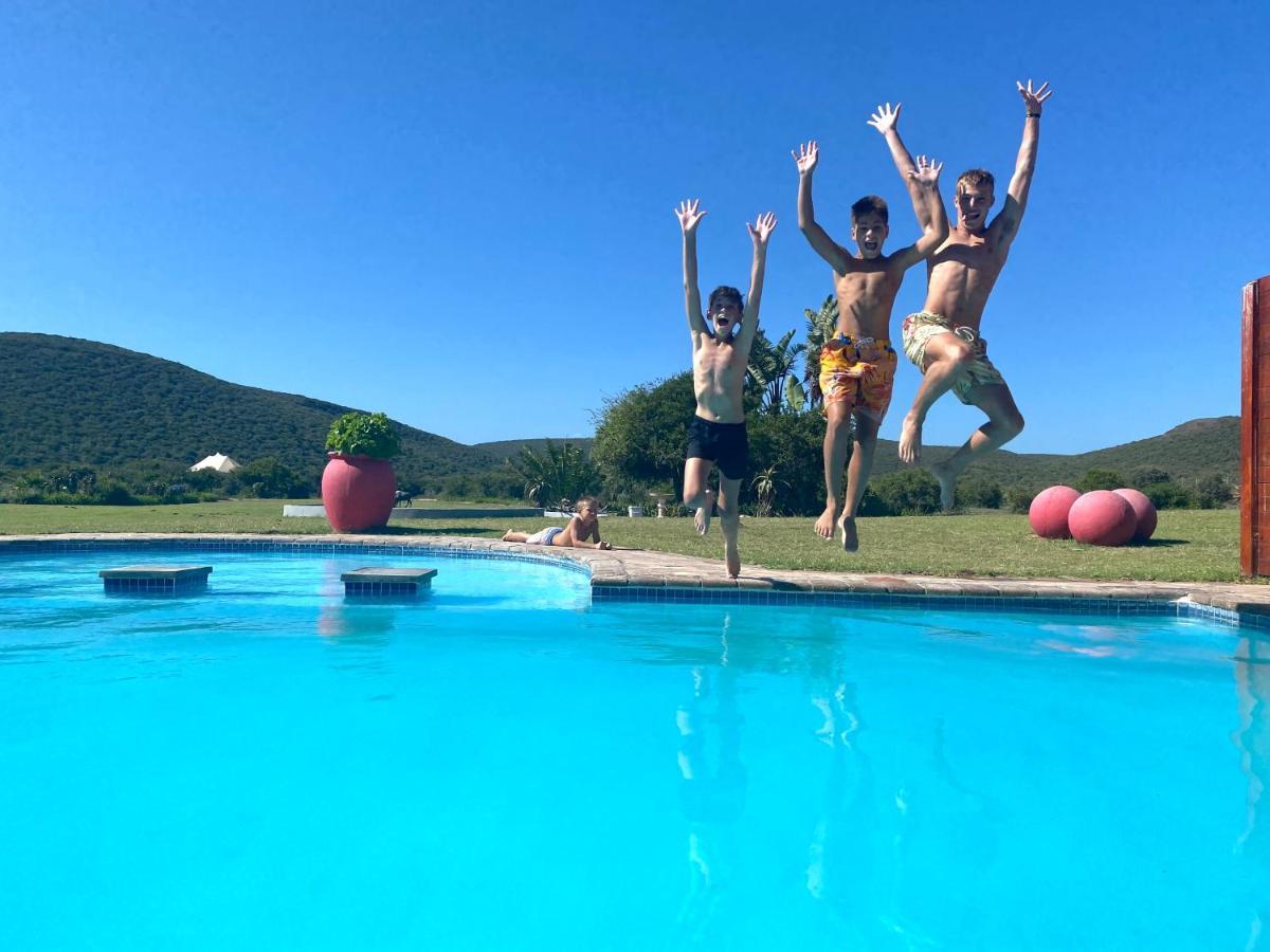 Parkview Safari Lodge Colchester Luaran gambar