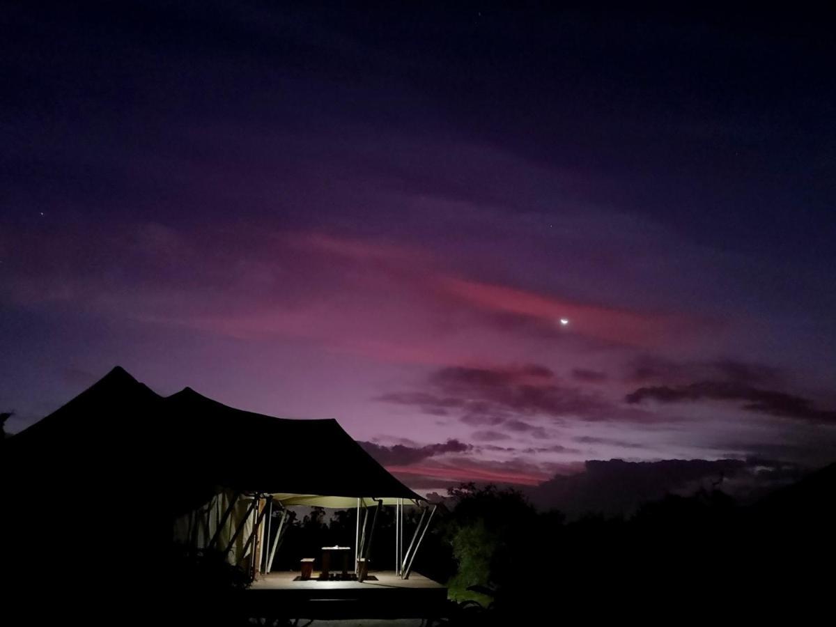 Parkview Safari Lodge Colchester Luaran gambar
