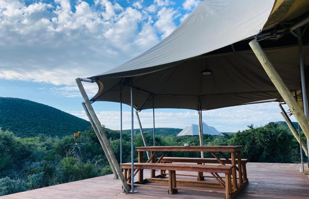 Parkview Safari Lodge Colchester Luaran gambar