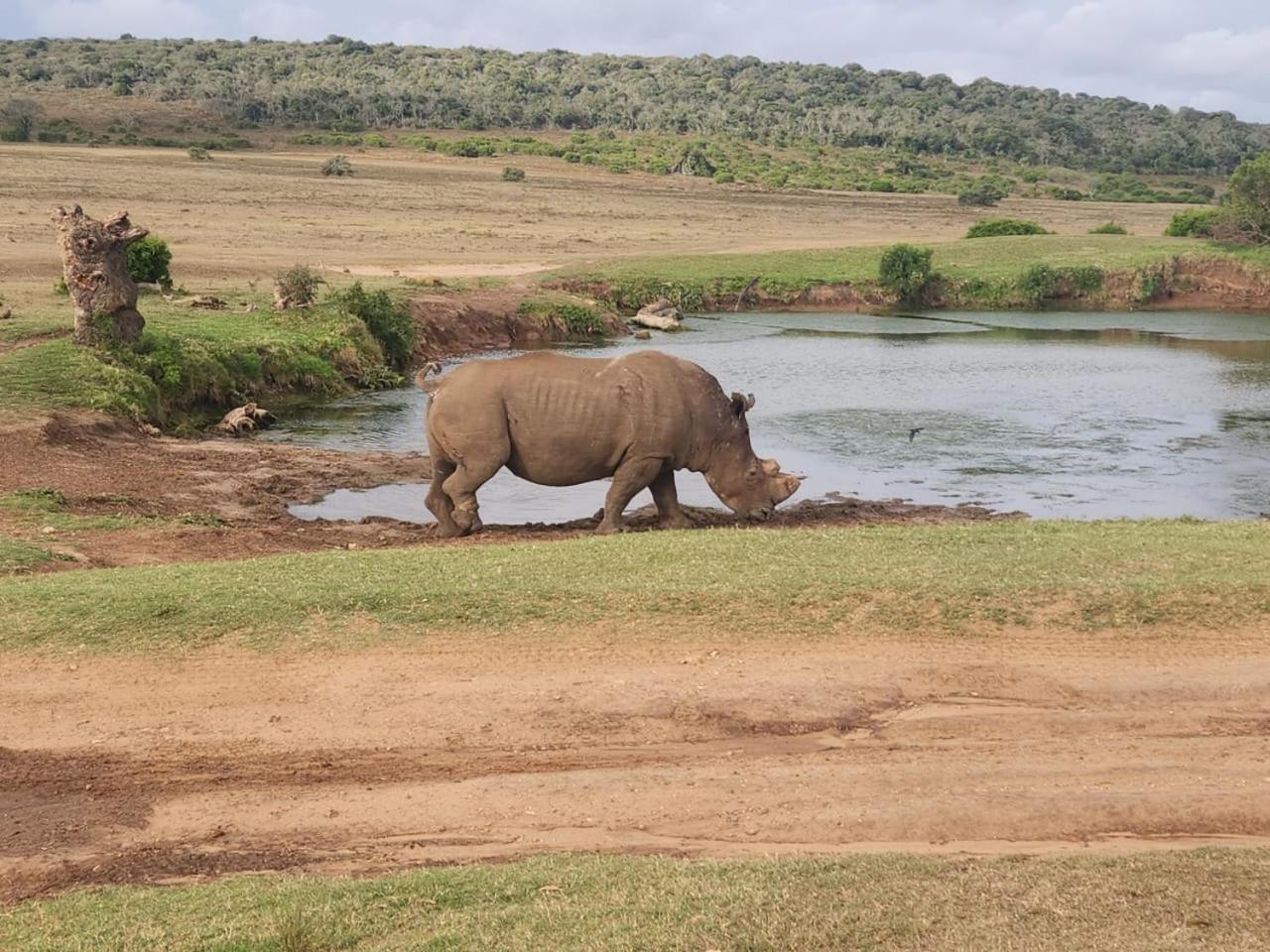 Parkview Safari Lodge Colchester Luaran gambar