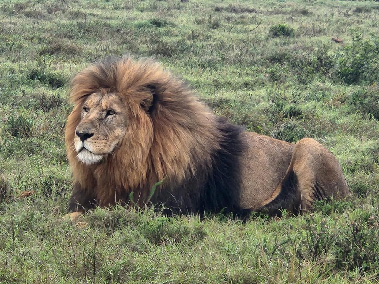 Parkview Safari Lodge Colchester Luaran gambar