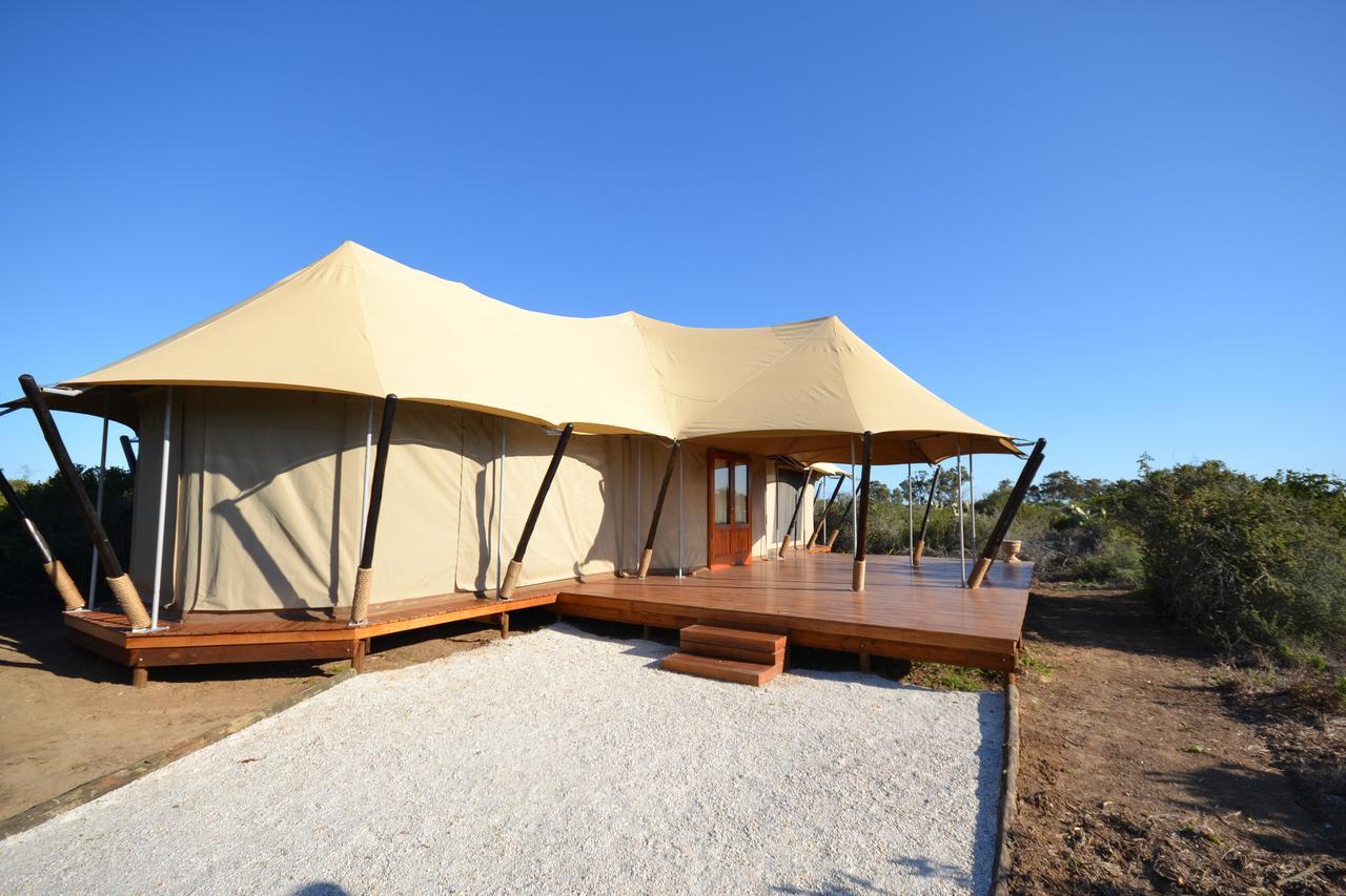 Parkview Safari Lodge Colchester Luaran gambar