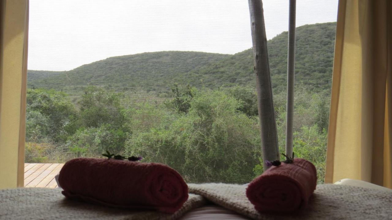 Parkview Safari Lodge Colchester Luaran gambar