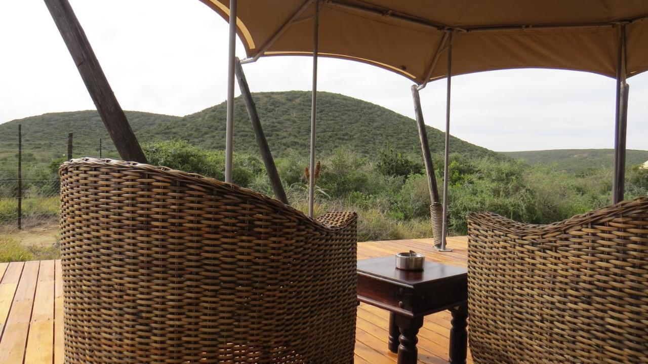 Parkview Safari Lodge Colchester Luaran gambar
