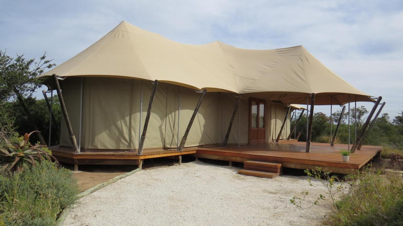 Parkview Safari Lodge Colchester Luaran gambar