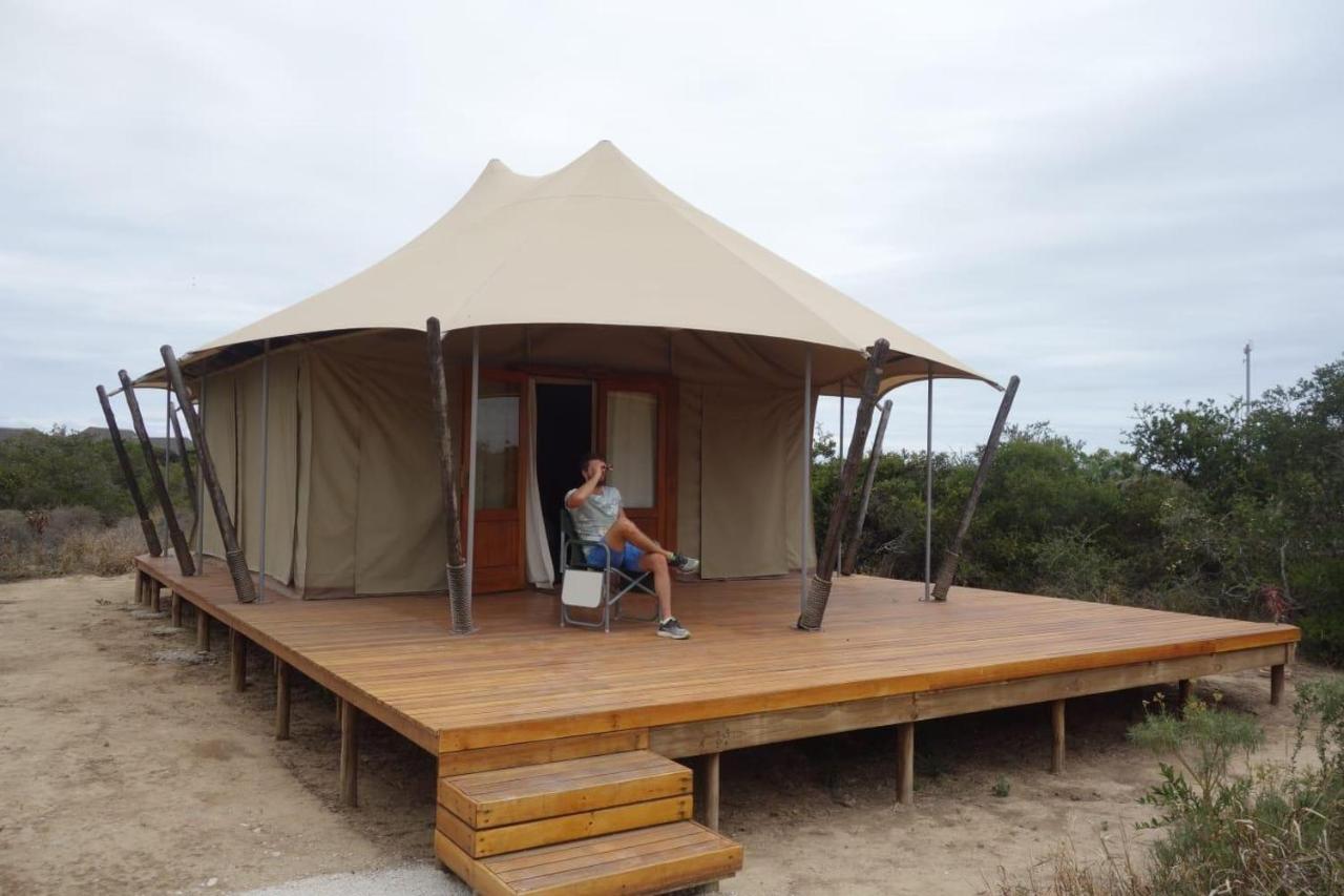 Parkview Safari Lodge Colchester Luaran gambar